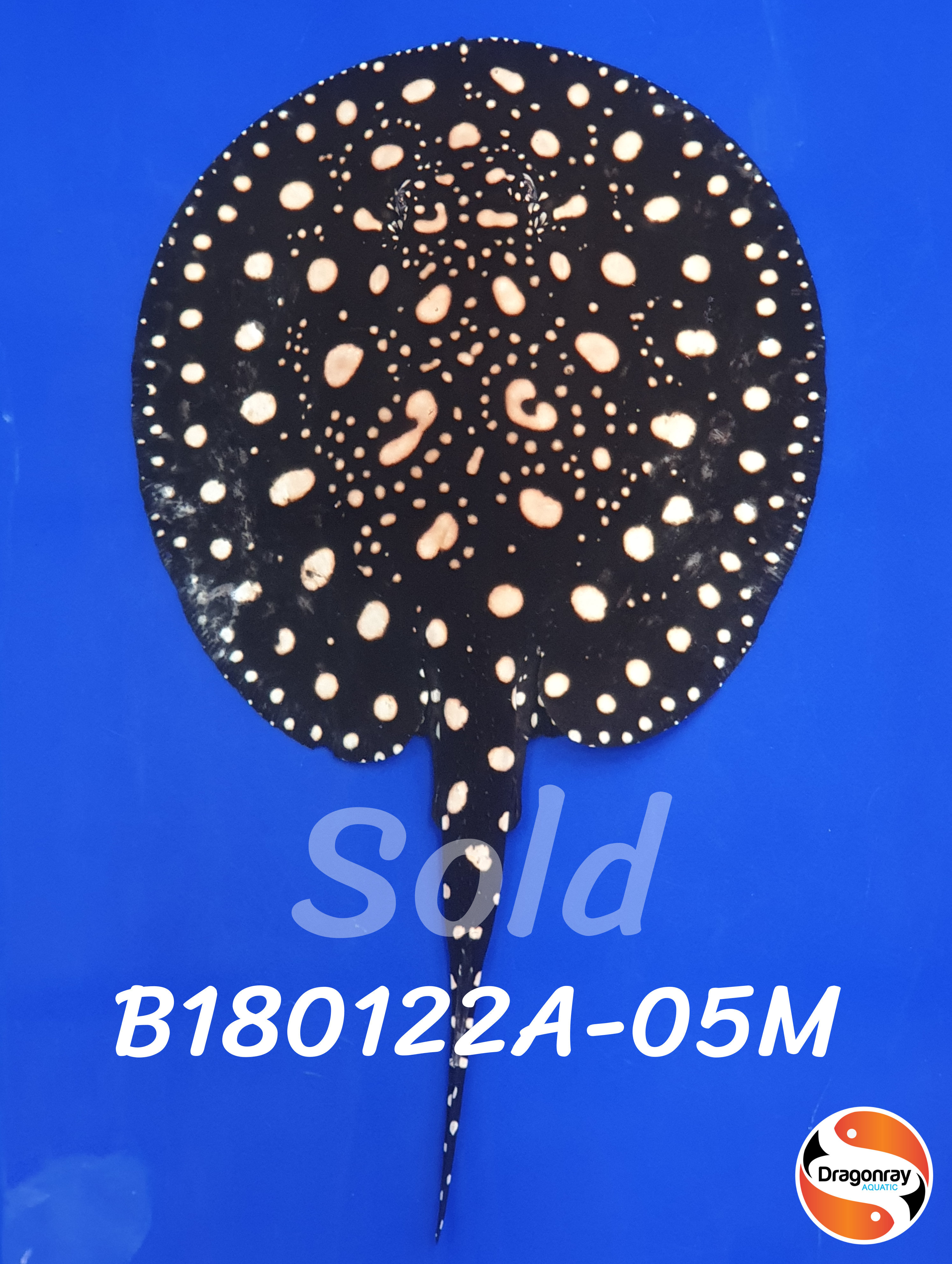 B180122A-05M